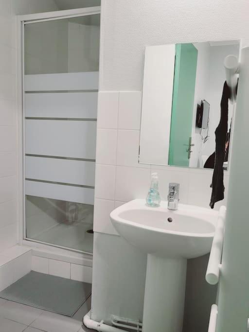 Appartement Proche Disneyland Parc Asterix "Appart'4" Pierrefitte-sur-Seine Eksteriør bilde